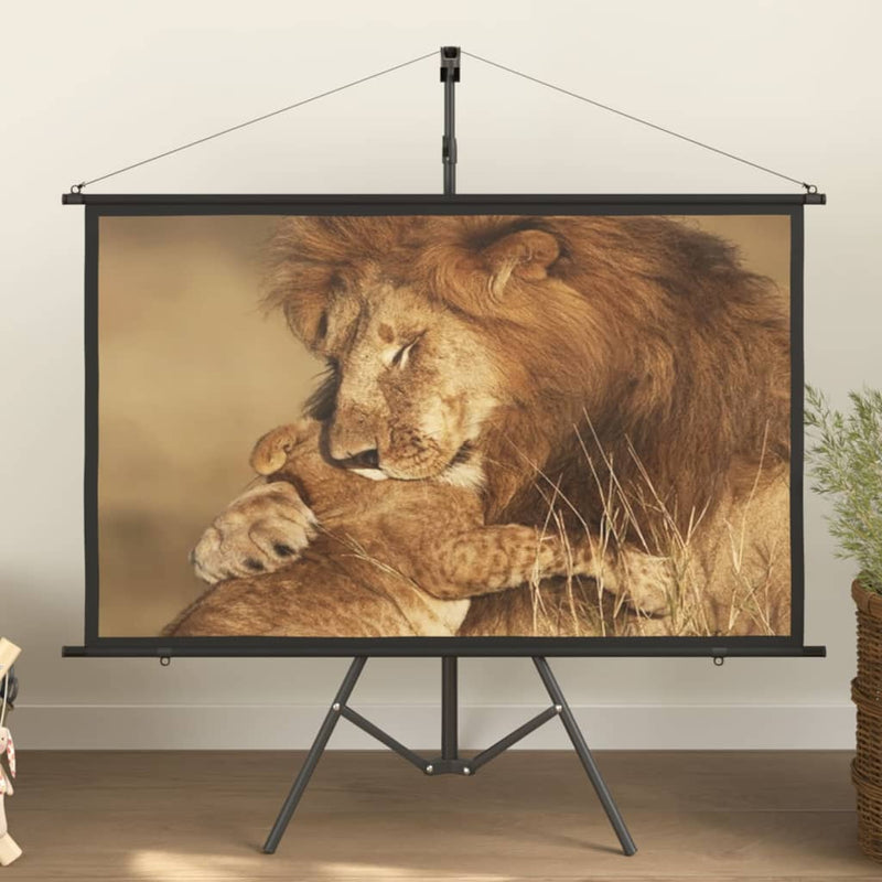 Projection Screen with Tripod 60" 16:9 Payday Deals