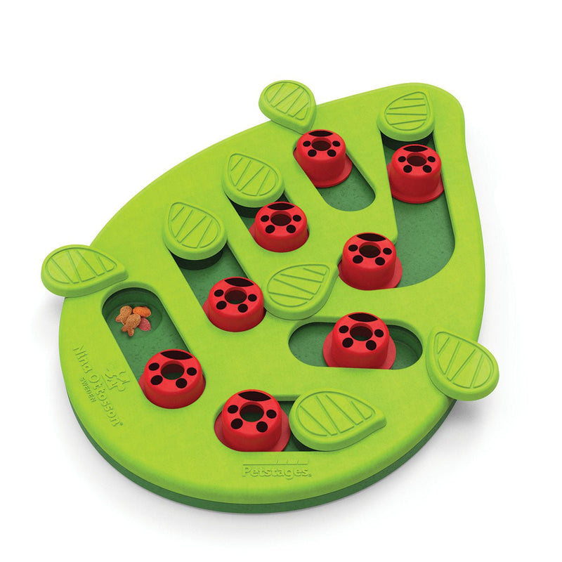 Puzzle & Play Buggin Out - Green by Nina Ottosson Payday Deals