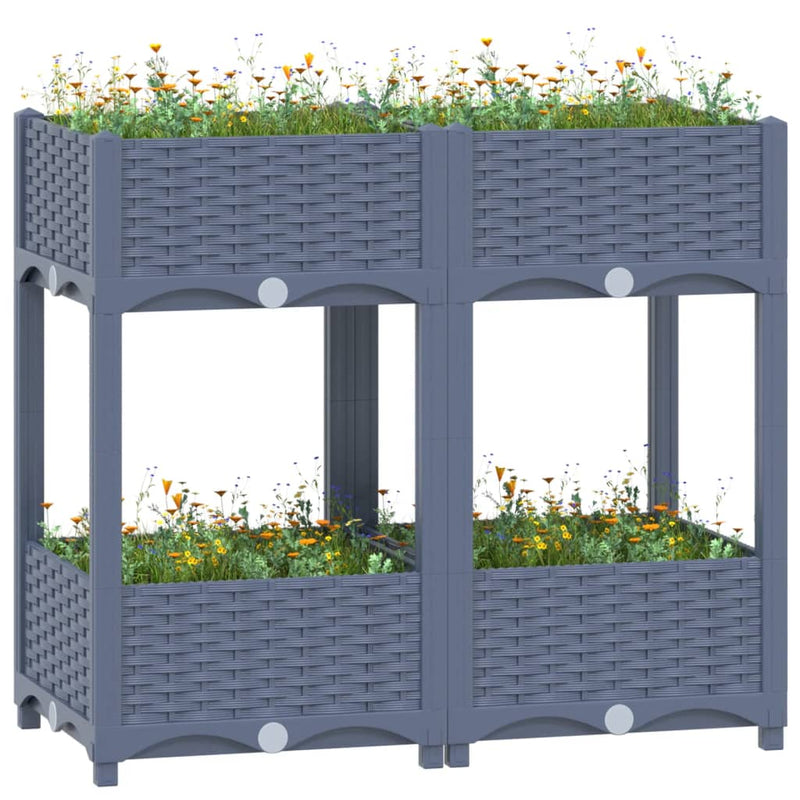 Raised Bed 80x40x71 cm Polypropylene Payday Deals
