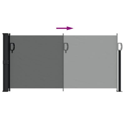 Retractable Side Awning Anthracite 100x500 cm Payday Deals