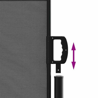 Retractable Side Awning Anthracite 120x600 cm Payday Deals
