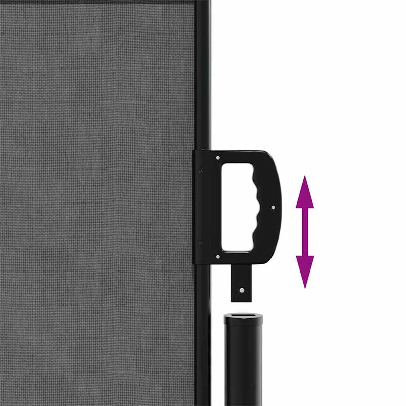 Retractable Side Awning Anthracite 120x600 cm Payday Deals