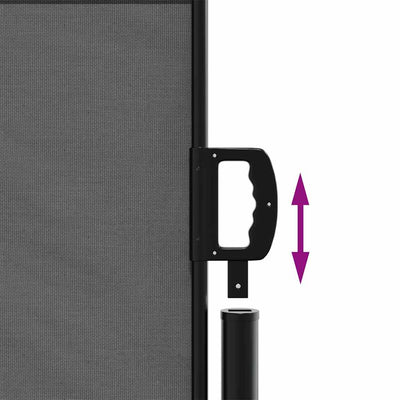 Retractable Side Awning Anthracite 140x600 cm Payday Deals