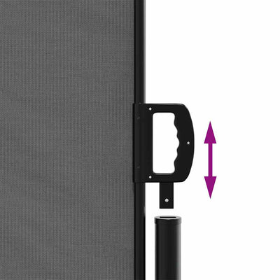 Retractable Side Awning Anthracite 220x600 cm Payday Deals