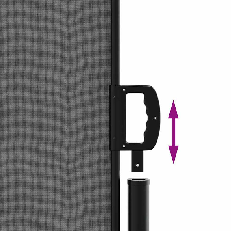 Retractable Side Awning Anthracite 220x600 cm Payday Deals