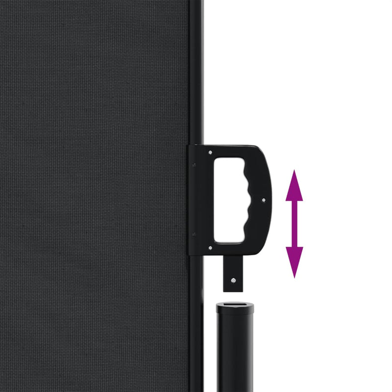 Retractable Side Awning Black 100x1000 cm Payday Deals
