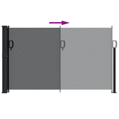 Retractable Side Awning Black 117x300 cm Payday Deals