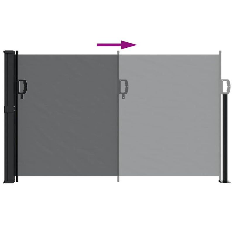 Retractable Side Awning Black 117x300 cm Payday Deals