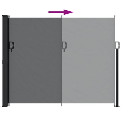Retractable Side Awning Black 160x300 cm Payday Deals