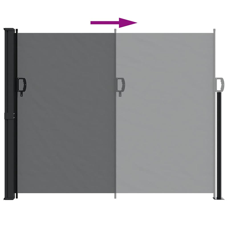 Retractable Side Awning Black 160x300 cm Payday Deals