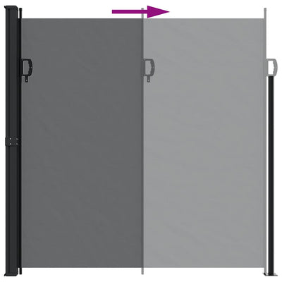 Retractable Side Awning Black 200x300 cm Payday Deals