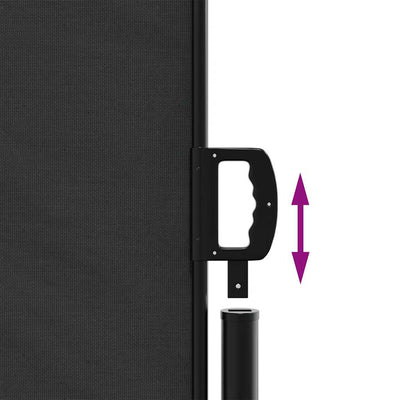 Retractable Side Awning Black 200x300 cm Payday Deals