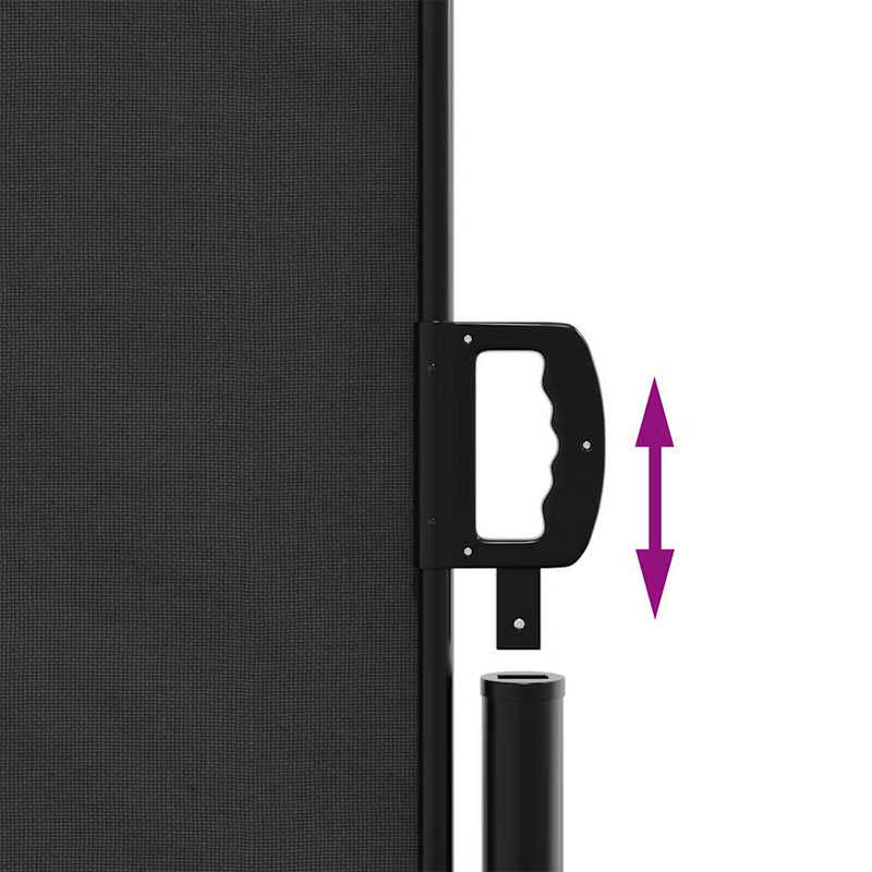 Retractable Side Awning Black 200x300 cm Payday Deals