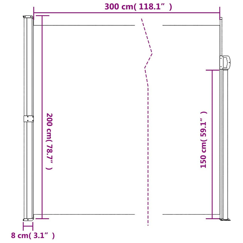 Retractable Side Awning Black 200x300 cm Payday Deals