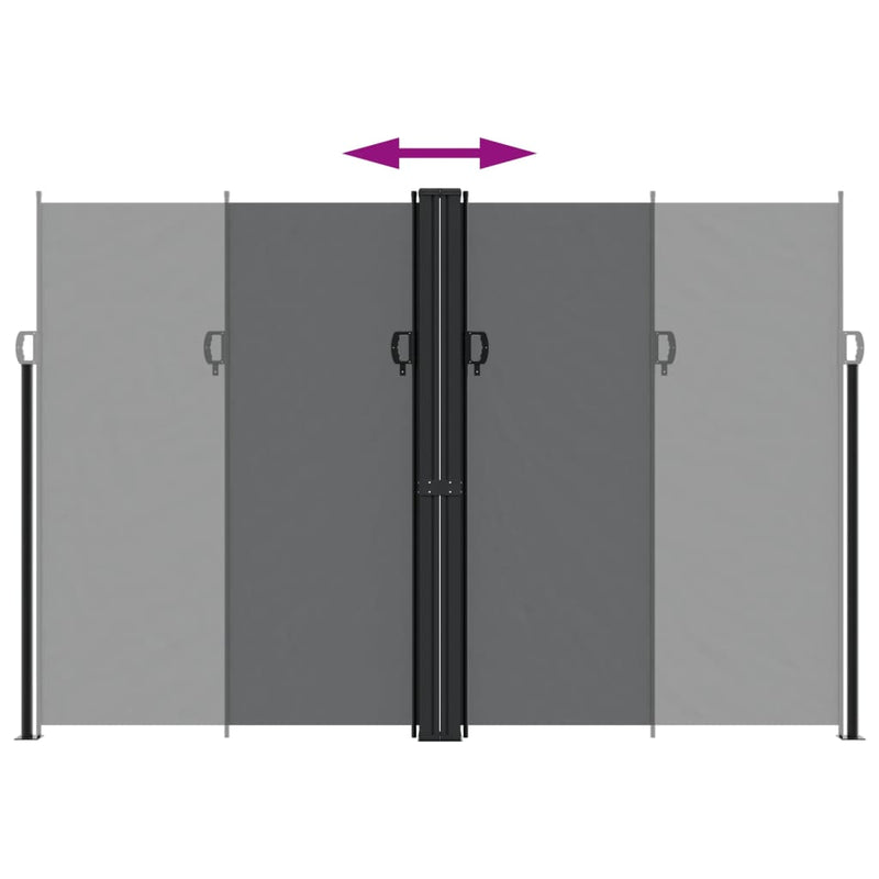 Retractable Side Awning Black 220x1000 cm Payday Deals