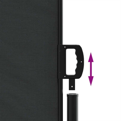 Retractable Side Awning Black 220x300 cm Payday Deals
