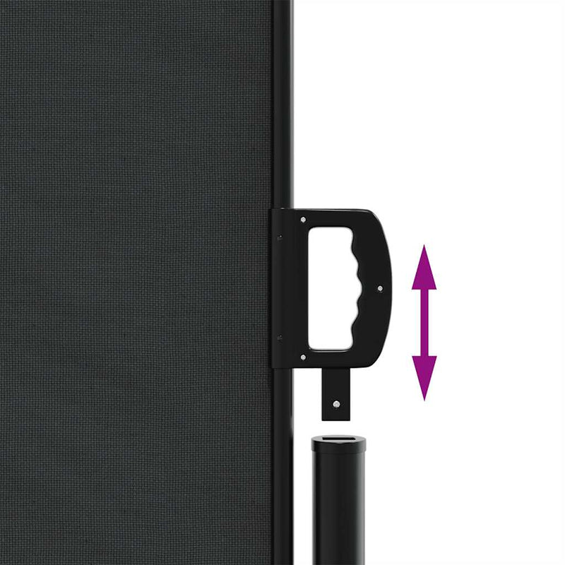 Retractable Side Awning Black 220x300 cm Payday Deals