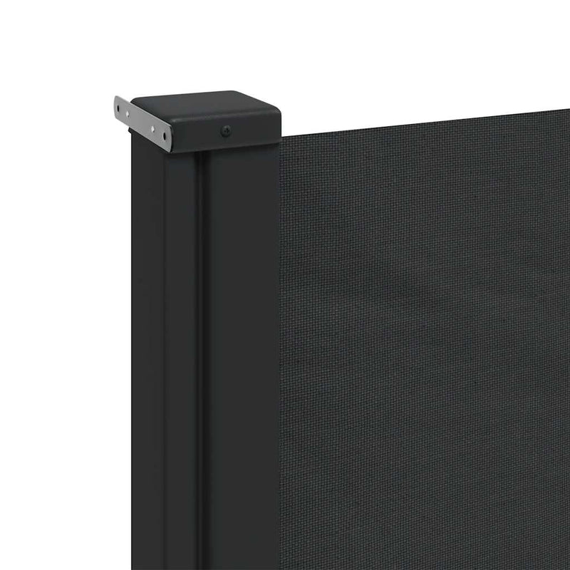 Retractable Side Awning Black 220x300 cm Payday Deals