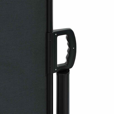 Retractable Side Awning Black 220x300 cm Payday Deals