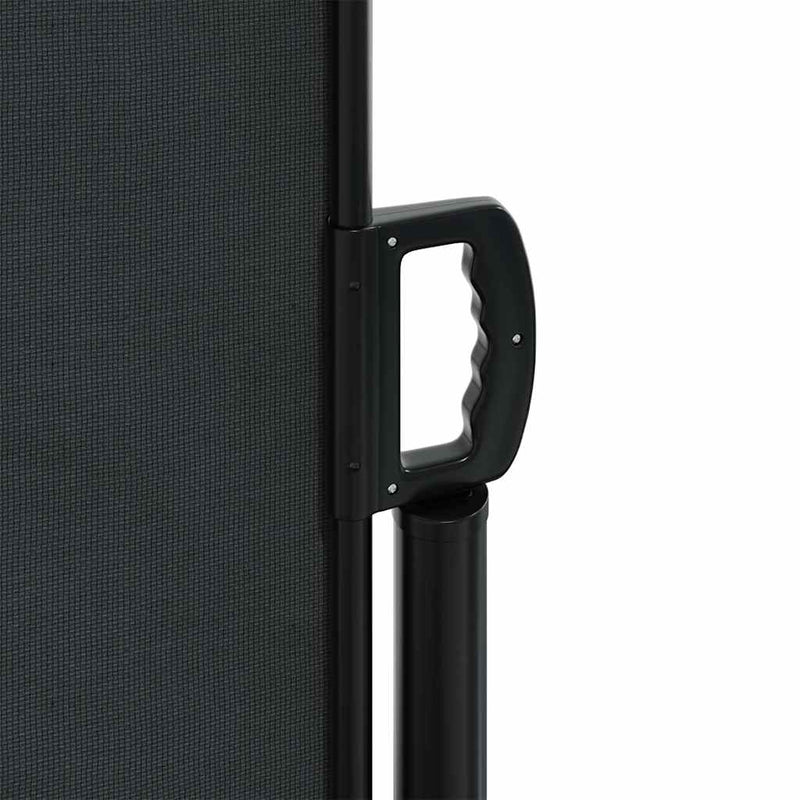 Retractable Side Awning Black 220x300 cm Payday Deals