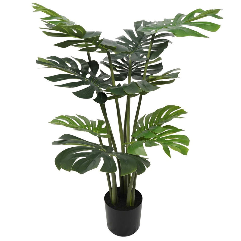Split Philodendron (Split Leaf) 120cm Payday Deals