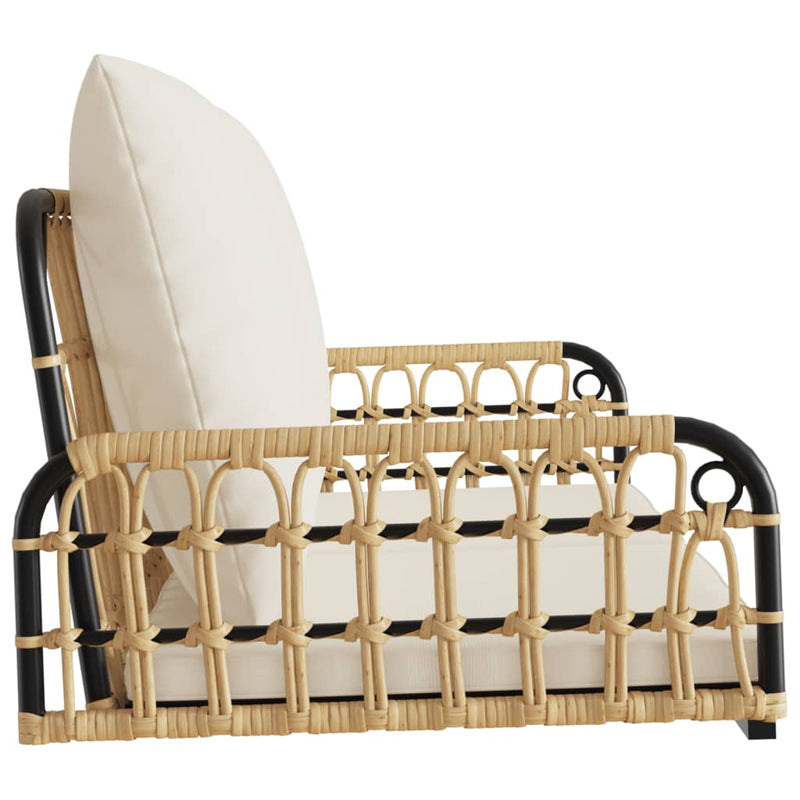 Swing Bench with Cushions 105x58x38 cm Poly Rattan and Steel Payday Deals
