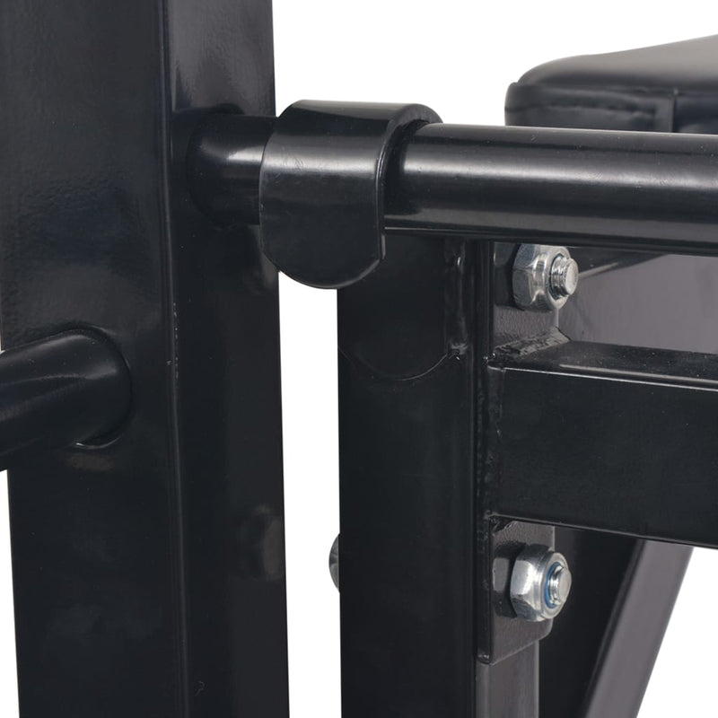 Wall-mounted Multi-functional Fitness Power Tower Black Payday Deals
