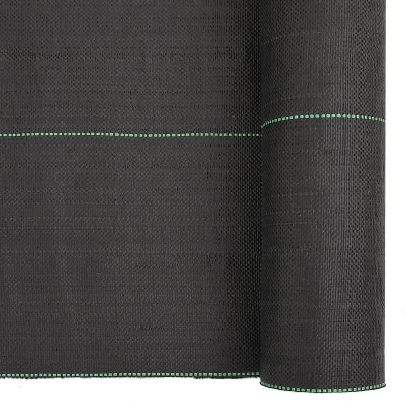 Weed Membrane Black 2x100 m PP Payday Deals