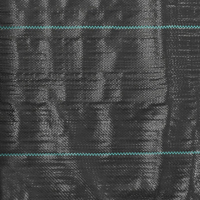 Weed & Root Control Mat PP 1x200 m Black Payday Deals