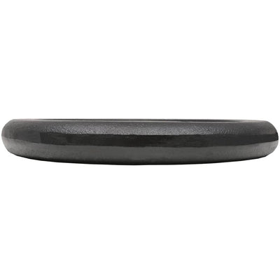 Weight Plates 2 pcs 2x10 kg Cast Iron Payday Deals