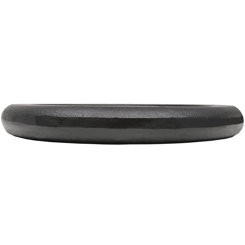 Weight Plates 2 pcs 2x10 kg Cast Iron Payday Deals