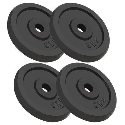 Weight Plates 4 pcs 4x5 kg Cast Iron Payday Deals