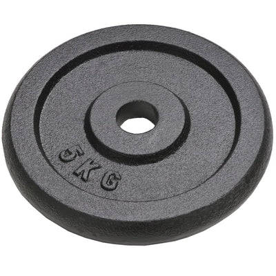 Weight Plates 4 pcs 4x5 kg Cast Iron Payday Deals