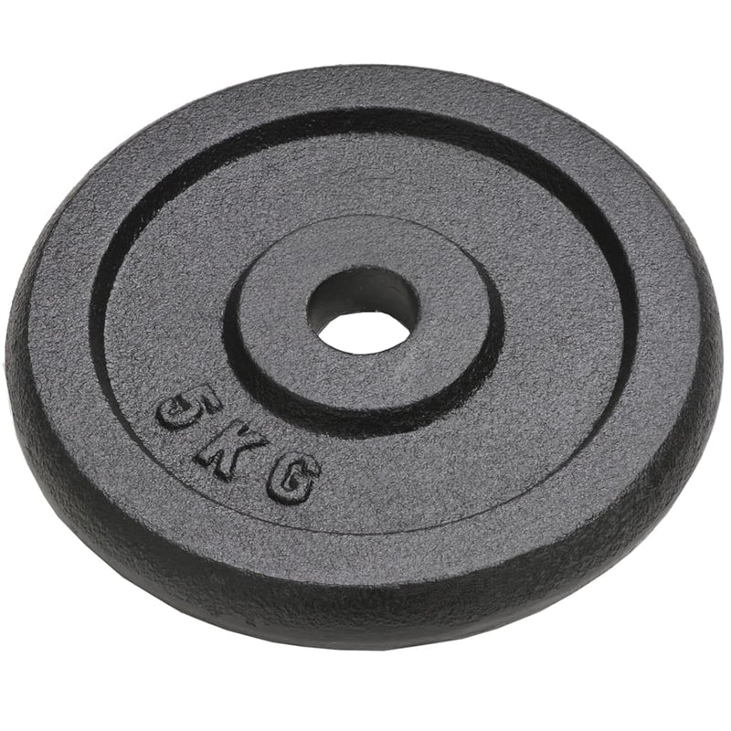 Weight Plates 4 pcs 4x5 kg Cast Iron Payday Deals