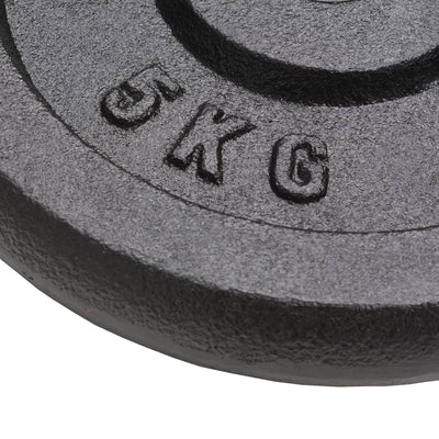 Weight Plates 4 pcs 4x5 kg Cast Iron Payday Deals