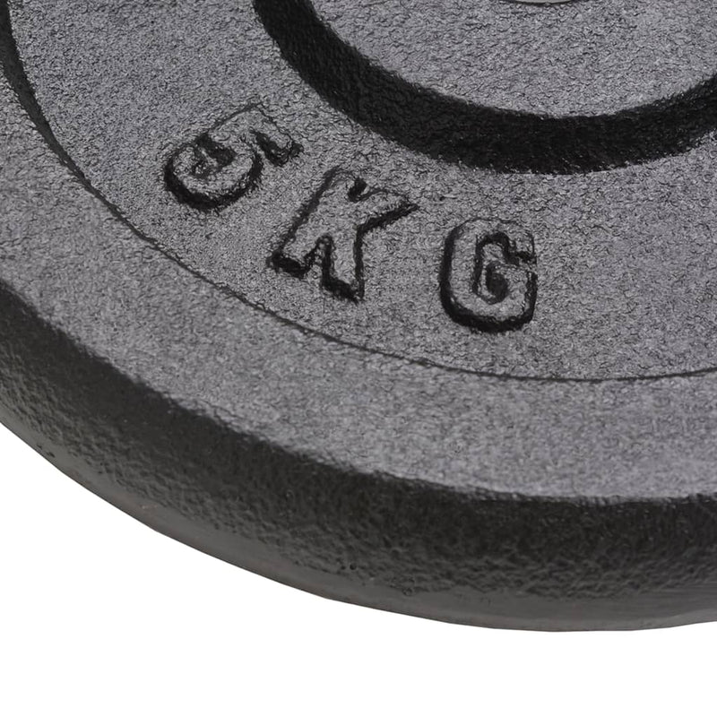 Weight Plates 4 pcs 4x5 kg Cast Iron Payday Deals