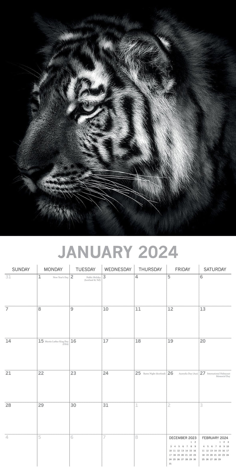 Wild Portraits - 2024 Square Wall Calendar 16 Months Black & White Planner Gift Payday Deals
