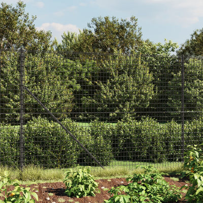 Wire Mesh Fence with Spike Anchors Anthracite 1.6x25 m