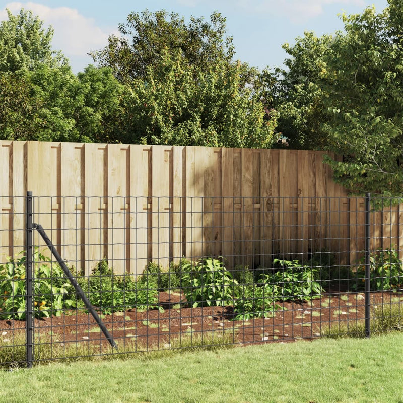 Wire Mesh Fence with Spike Anchors Anthracite 1x10 m Payday Deals