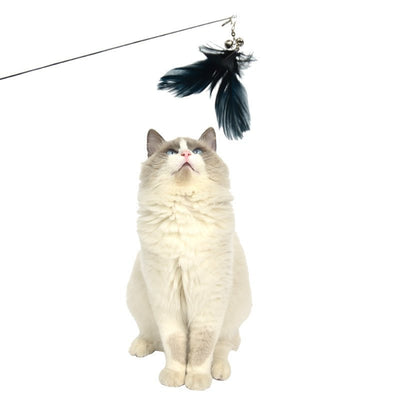YES4PETS  2 X Pet Cat Toys Retractable Feathers Teaser Cat Stick Interactive Play Payday Deals