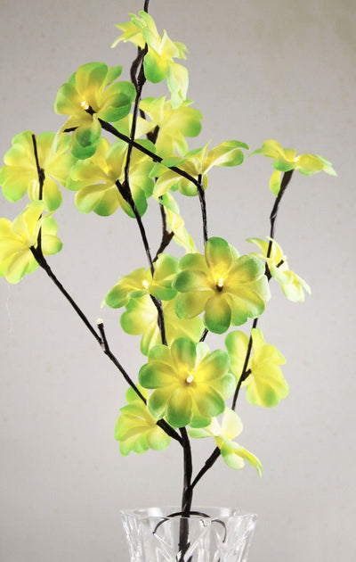 1 Set of 50cm H 20 LED Green Frangipani Tree Branch Stem Fairy Light Wedding Event Party Function Table Vase Centrepiece Tropical Decoration Payday Deals