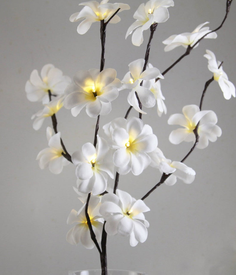 1 Set of 50cm H 20 LED White Frangipani Tree Branch Stem Fairy Light Wedding Event Party Function Table Vase Centrepiece Decoration Payday Deals