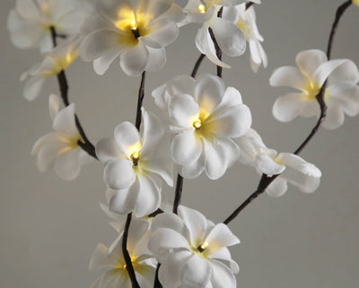 1 Set of 50cm H 20 LED White Frangipani Tree Branch Stem Fairy Light Wedding Event Party Function Table Vase Centrepiece Decoration Payday Deals