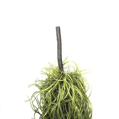 Artificial Air Plant Spanish Moss - Old Man Beard 60cm - Payday Deals