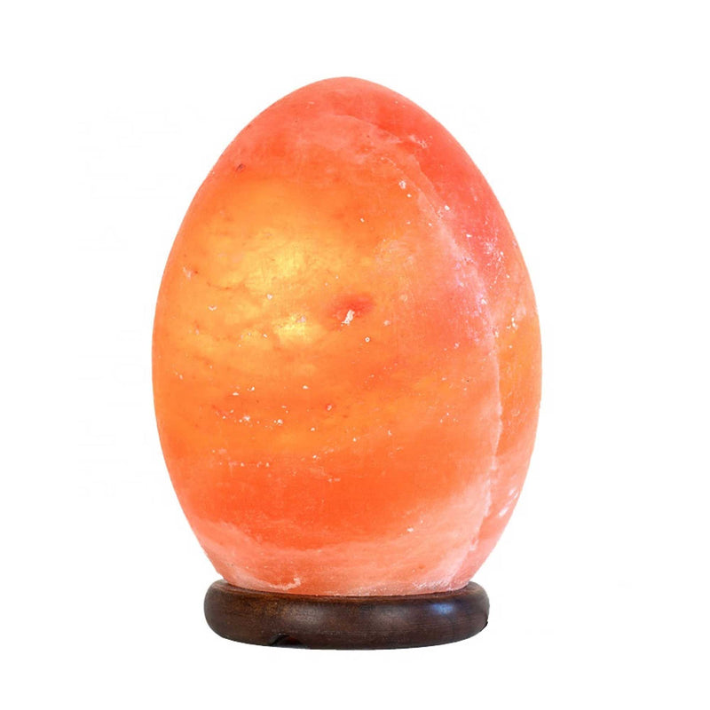 12V 12W Egg Himalayan Pink Salt Lamp Carved Rock Crystal Light Bulb On/Off Switch Payday Deals