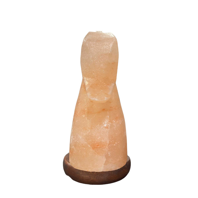 12V 12W Horse Himalayan Pink Salt Lamp Carved Knight Rock Crystal Light Bulb On/Off Payday Deals