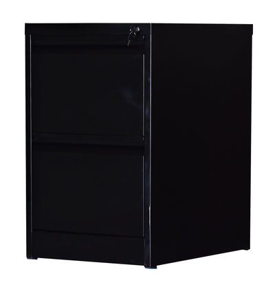 2-Drawer Shelf Office Gym Filing Storage Locker Cabinet Payday Deals