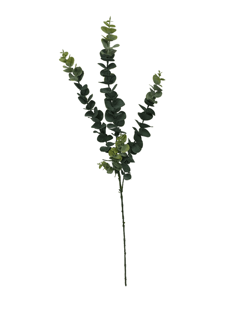 5 Pack - Long Eucalyptus Stem 77 cm Payday Deals
