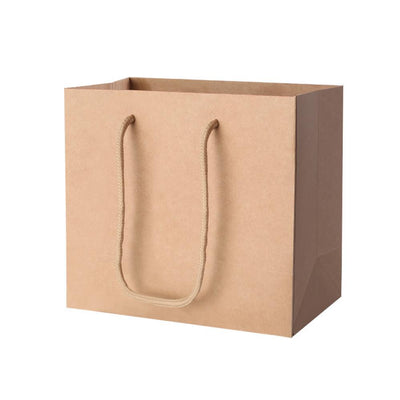 50pcs Kraft Paper Carry Bags Shopping Gift Bag Bulk Brown 220 x 180 x 100mm - Payday Deals