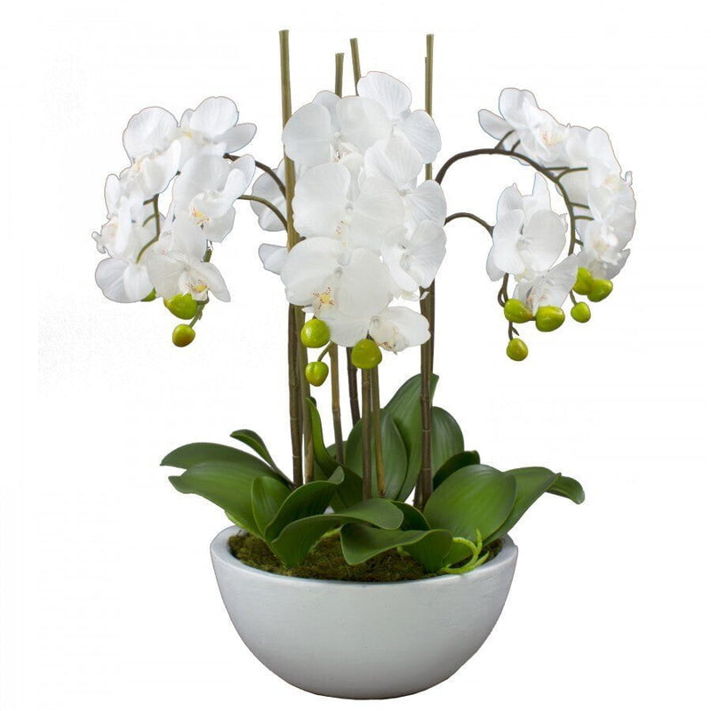 55cm Faux Phalaenopsis Orchid in Pot Artificial Plant Flower Home Office Decor Payday Deals